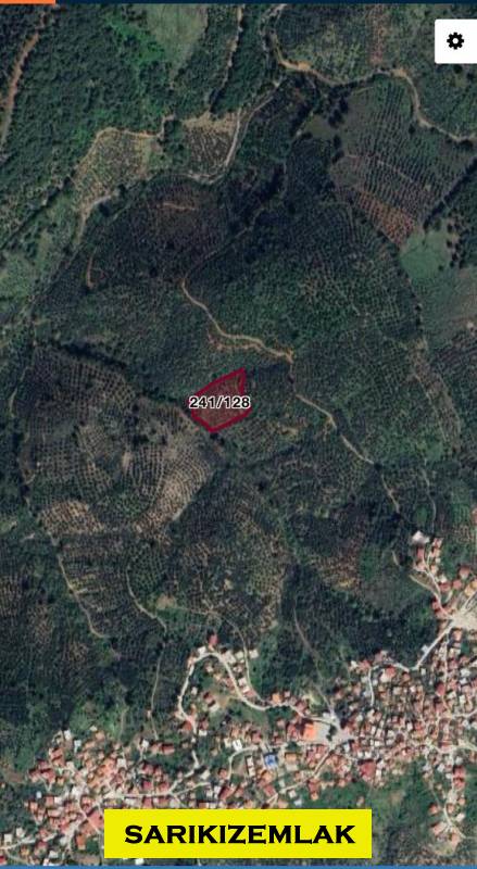 Büyü14489